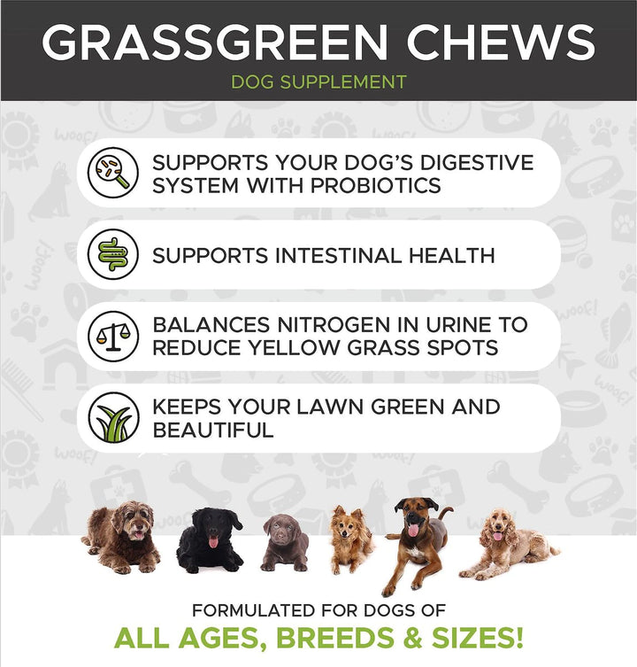 PetHonesty Grass Green Duck Flavored Soft Chew Digestive & Lawn Protec ...
