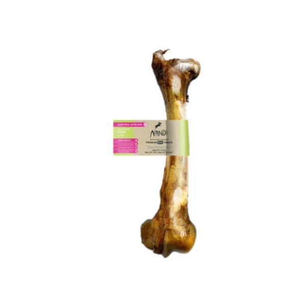 Antelope Bone - Select a Size