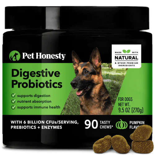 PetHonesty Digestive Probiotic Soft Chews for Dogs - (Pumpkin ...